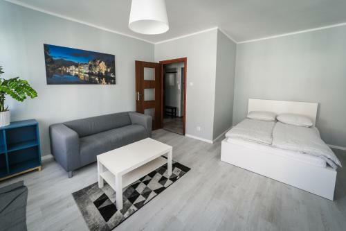 Silver Vision Apartment - Rynek オポーレ エクステリア 写真